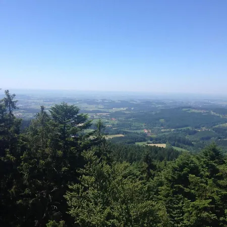 In The Bavarian Forest Drachselsried