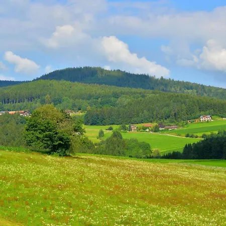 Ruhiges In In Waldnaehe Hébergement de vacances Drachselsried