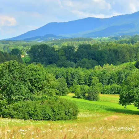 In The Bavarian Forest * Drachselsried