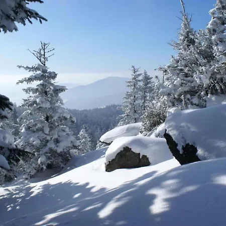 Hébergement de vacances Ruhiges In In Waldnaehe Drachselsried