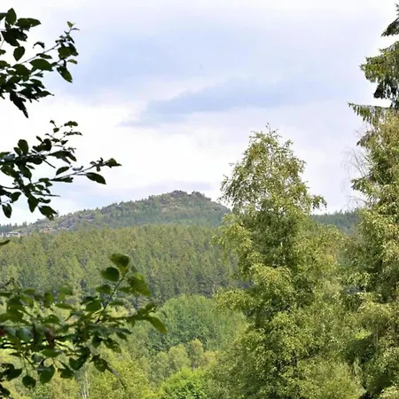 In The Bavarian Forest Drachselsried