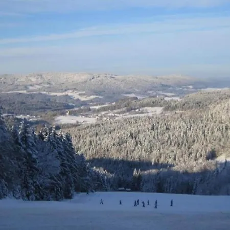 Ruhiges In In Waldnaehe * Drachselsried