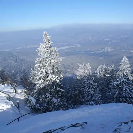 Hébergement de vacances Ruhiges In In Waldnaehe Drachselsried